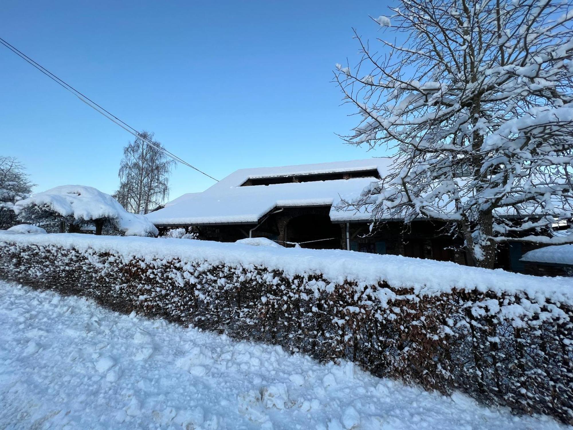 Le Teli Du Loup Dans La Taniere D'Armand Villa Stavelot Exteriör bild